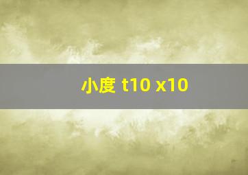 小度 t10 x10